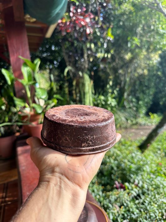 Making the Most of This Special Cacao Batch 🍫✨