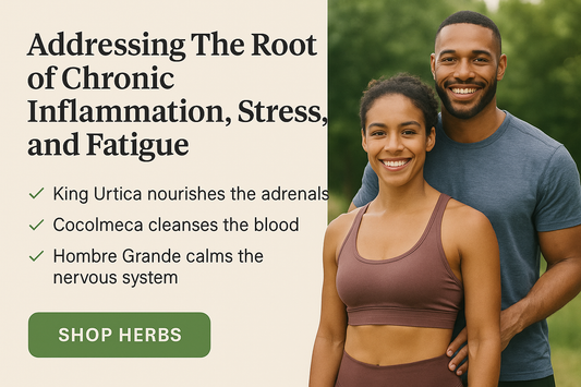 🌿 The 5 Most Searched Herbs in 2025—And Why They’re Still Not Enough