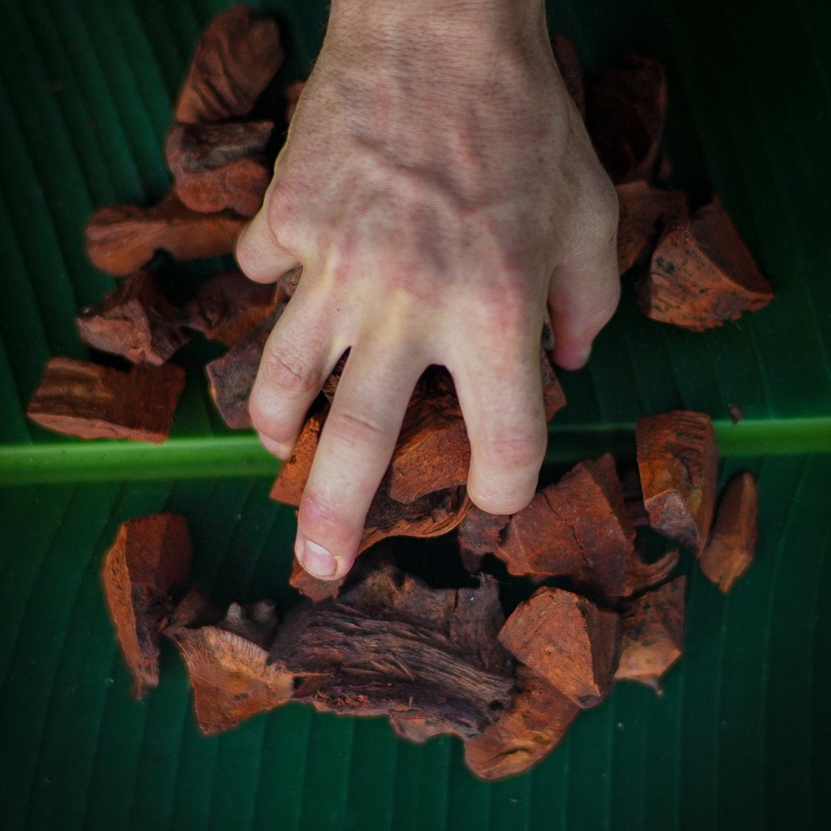 Colcomeca - Powerful Detox and Blood Tonic